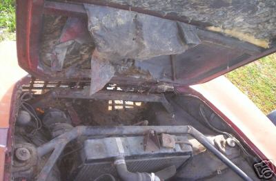 Unidentified Ghia 1500 GT #008 - Photo 13